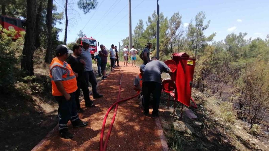 Ormanlık Alanda Çıkan Yangın Büyümeden Söndürüldü