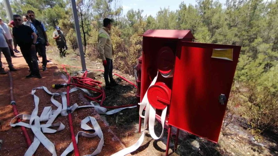 Ormanlık Alanda Çıkan Yangın Büyümeden Söndürüldü