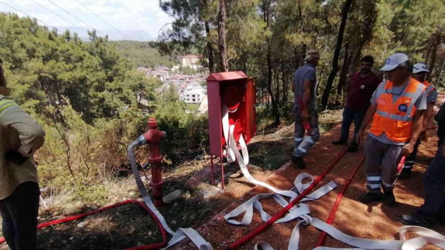 Ormanlık Alanda Çıkan Yangın Büyümeden Söndürüldü