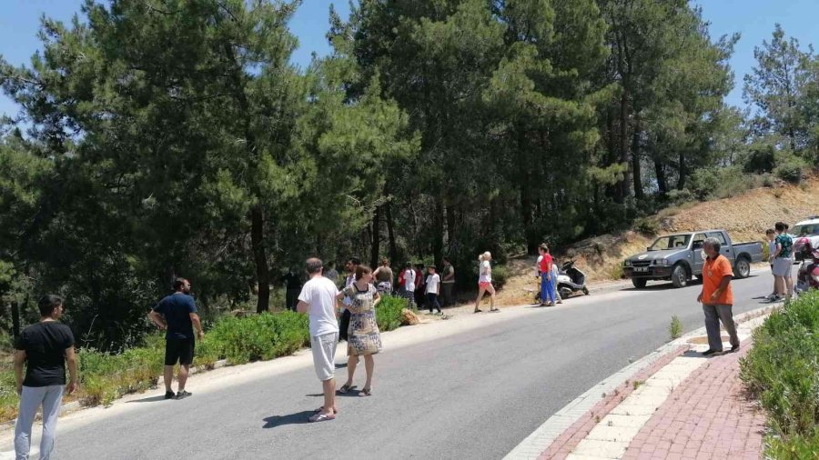 Ormanlık Alanda Çıkan Yangın Büyümeden Söndürüldü