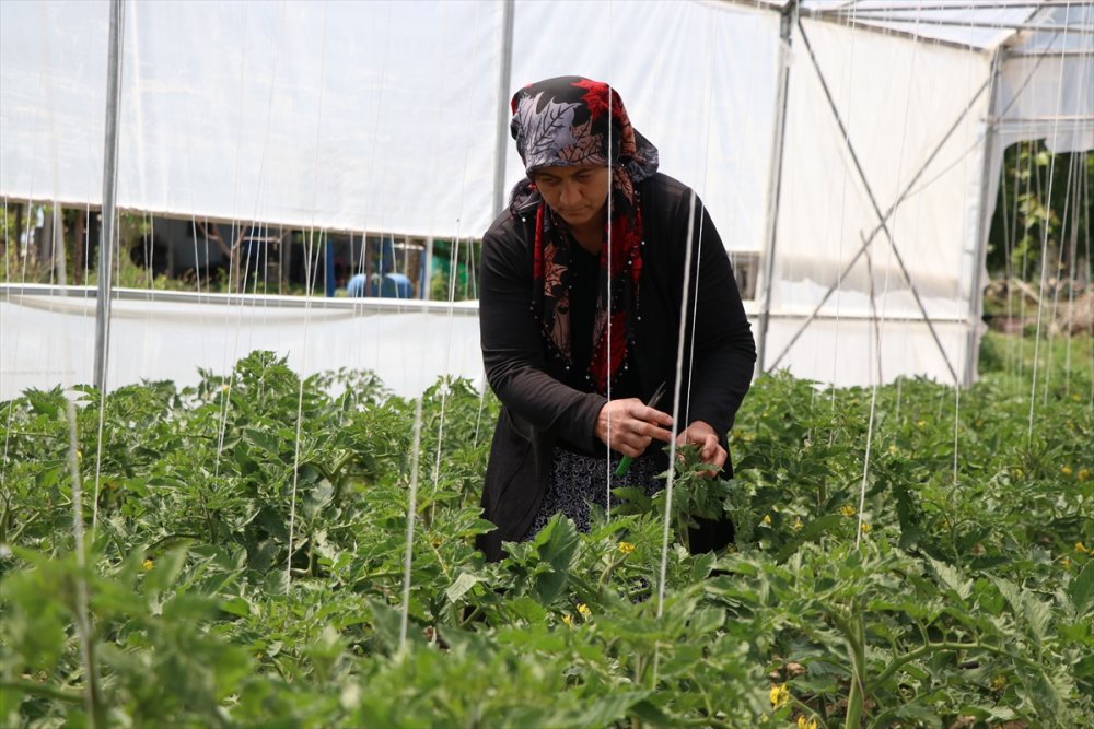 Niğde'de Kadın Girişimci Azmiyle Örnek Oldu
