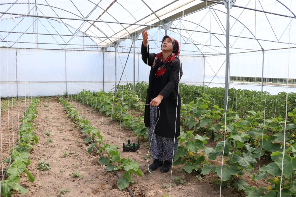 Niğde'de Kadın Girişimci Azmiyle Örnek Oldu