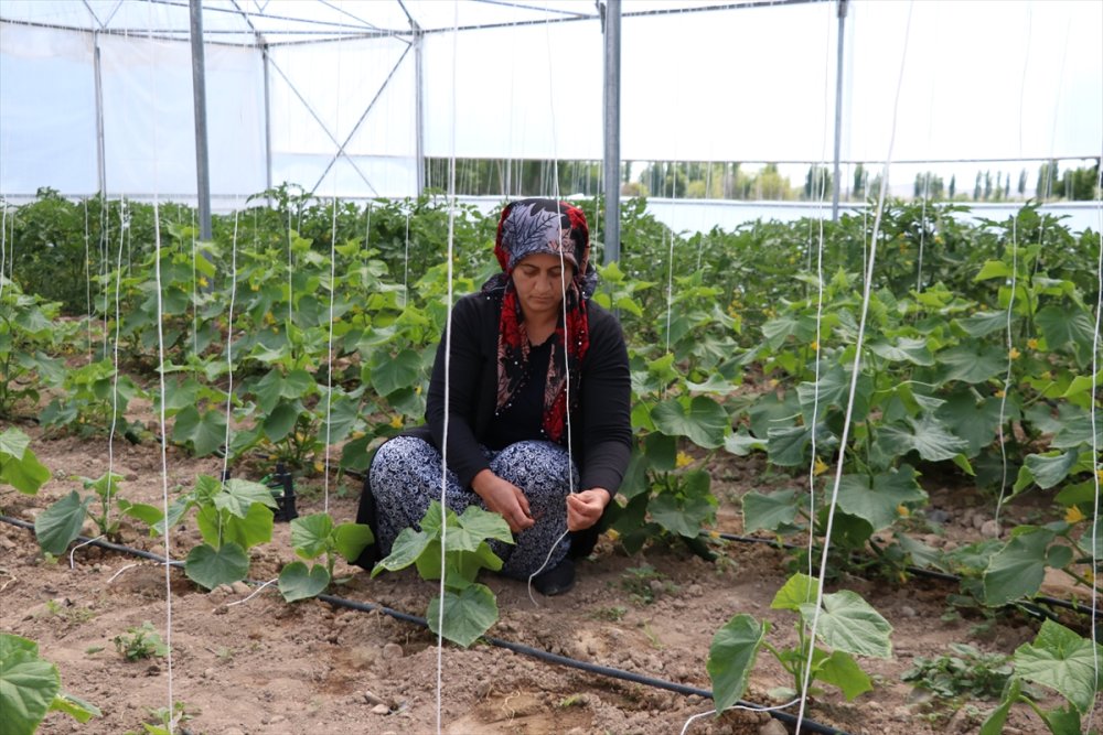 Niğde'de Kadın Girişimci Azmiyle Örnek Oldu