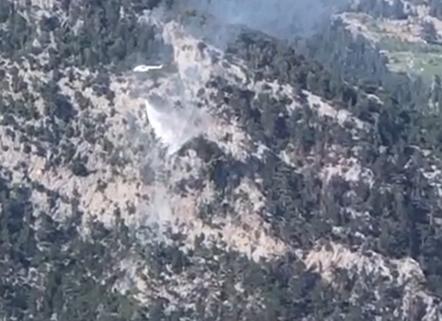 Alanya’da Orman Yangını