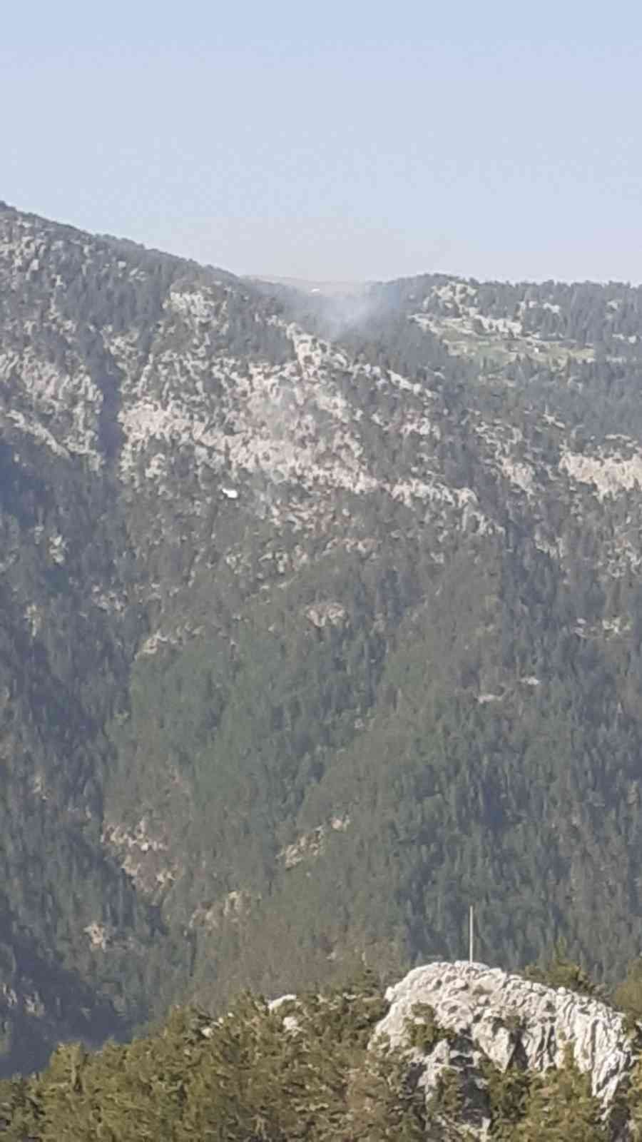 Alanya’da Orman Yangını