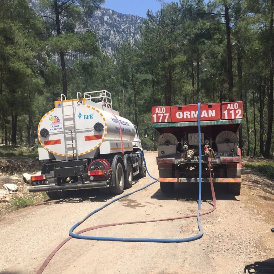 Antalya’da Orman Yangını