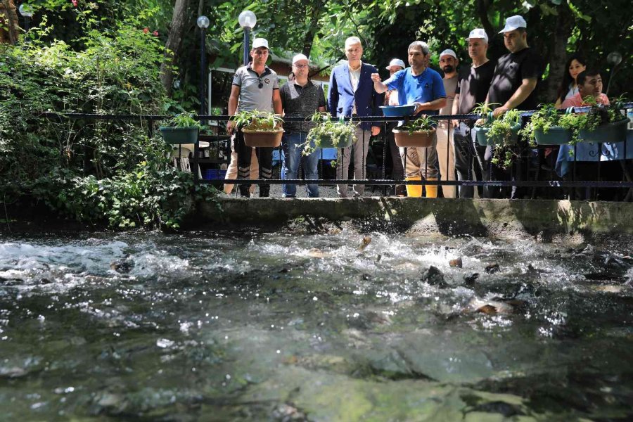 Alabalık Yetiştiriciliğini A’dan Z’ye Öğrendiler