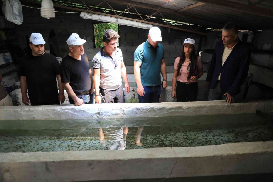 Alabalık Yetiştiriciliğini A’dan Z’ye Öğrendiler