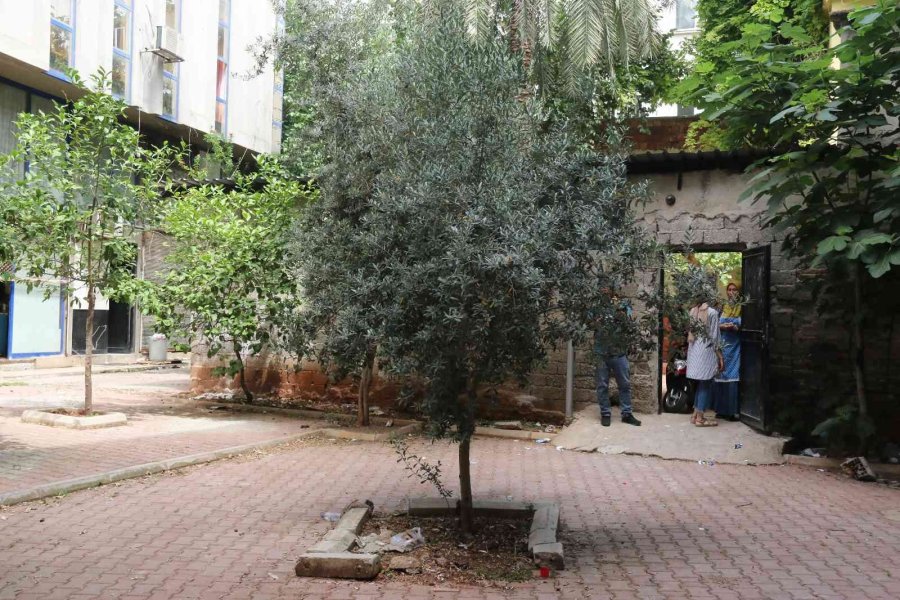 Mahalleli Ve Esnafın Uyuşturucu Partisi Tepkisi