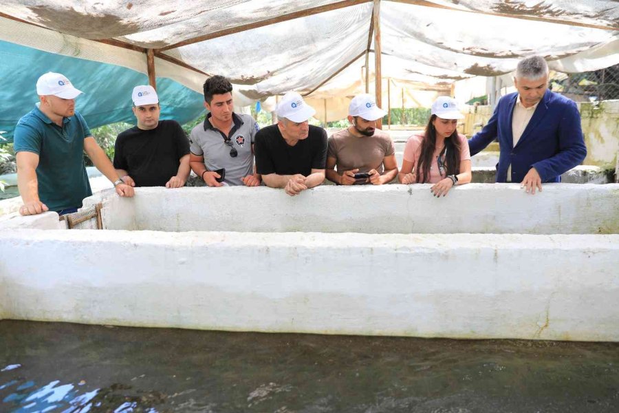 Alabalık Yetiştiriciliğini A’dan Z’ye Öğrendiler