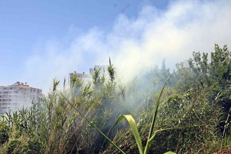 Falezlerde Kargılık Alanda Yangın