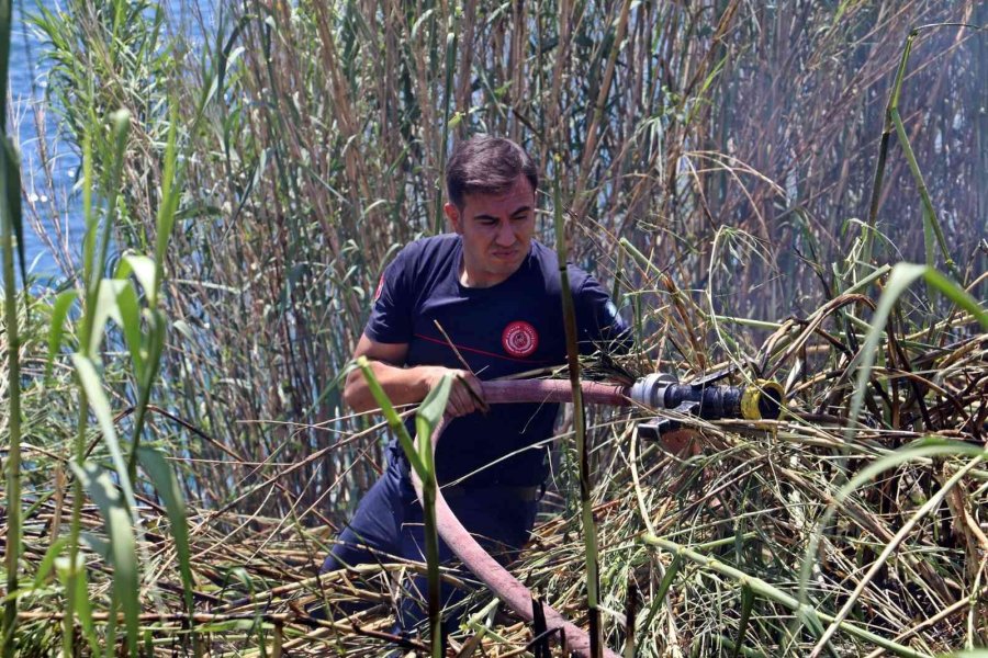 Falezlerde Kargılık Alanda Yangın