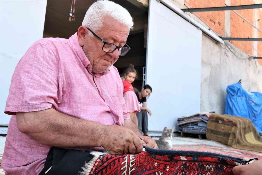 ’halı Tarlaları’nda Sezon Açıldı, Buğday Tarlalarında Renk Cümbüşü Yaşandı