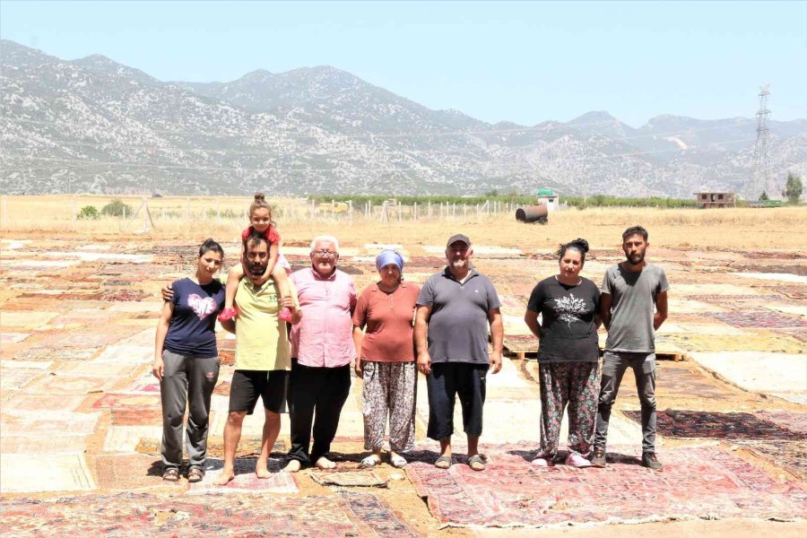 ’halı Tarlaları’nda Sezon Açıldı, Buğday Tarlalarında Renk Cümbüşü Yaşandı