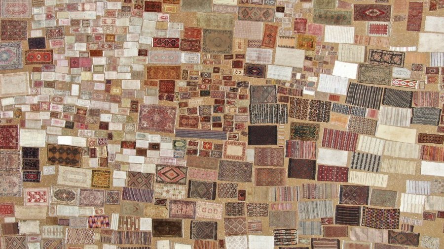 ’halı Tarlaları’nda Sezon Açıldı, Buğday Tarlalarında Renk Cümbüşü Yaşandı