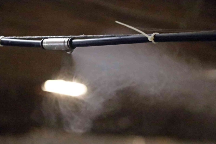 Yaz Ayları Fırın Gibi Olan Cam Serada, Soğutucu Klima Olmadan Kültür Mantarı Yetiştirdiler