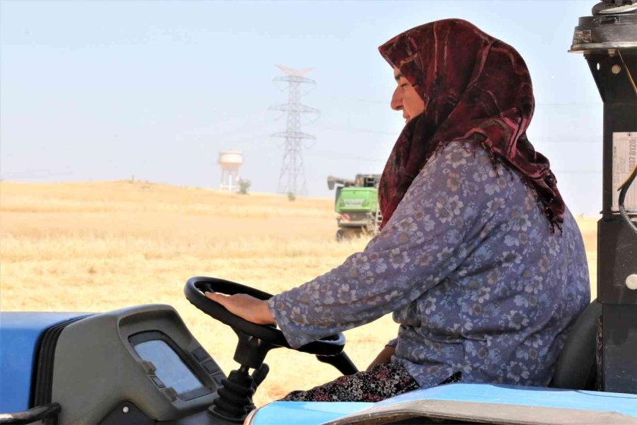 Antalya’da Buğday Hasadı Başladı