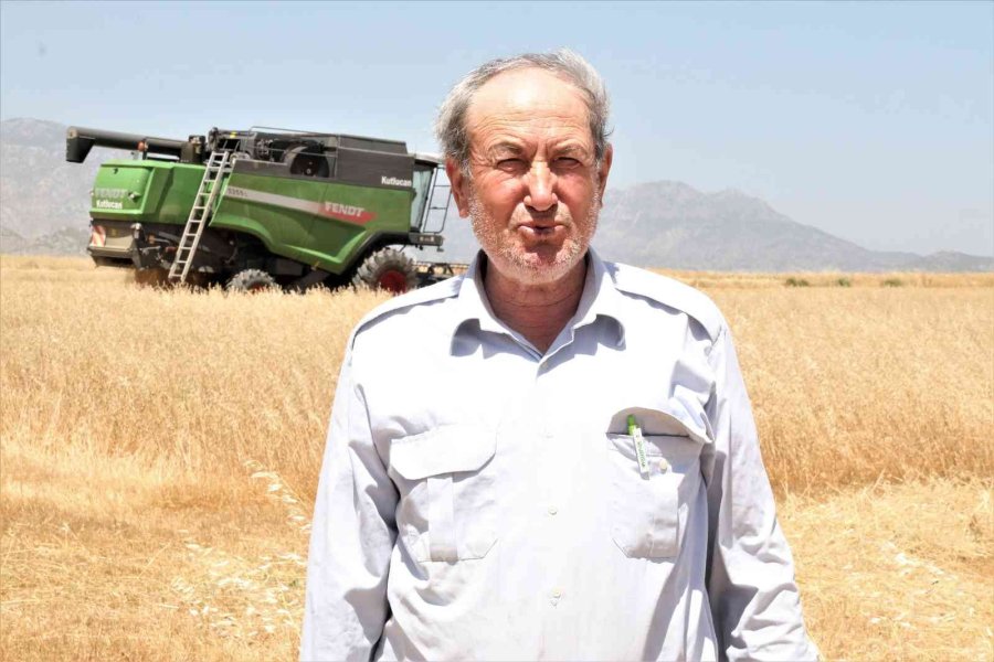 Antalya’da Buğday Hasadı Başladı