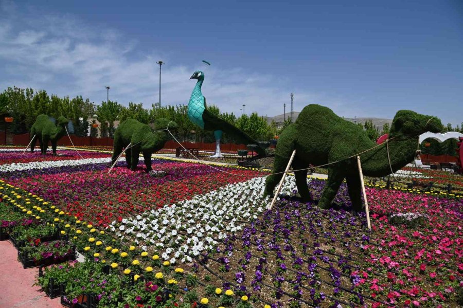 Selçuklu Çiçek Bahçesi Görsel Şölene Hazırlanıyor