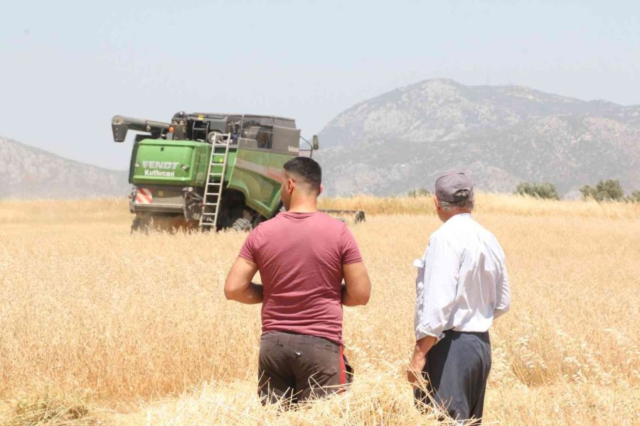 Antalya’da Buğday Hasadı Başladı