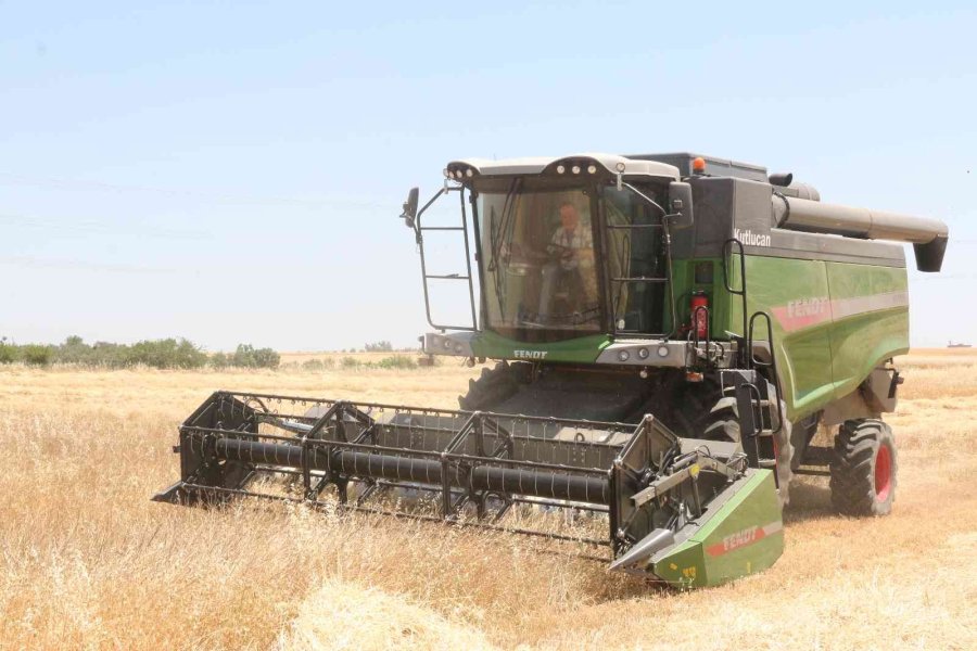 Antalya’da Buğday Hasadı Başladı