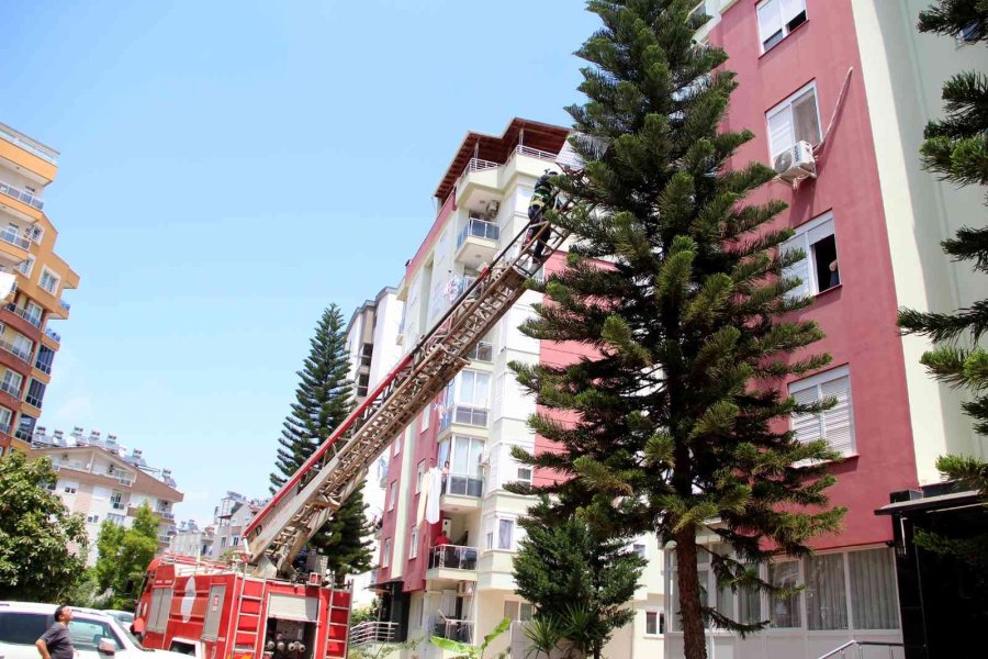 Ağaçta Mahsur Kalan Kedisine Kavuşunca Büyük Mutluluk Yaşadı