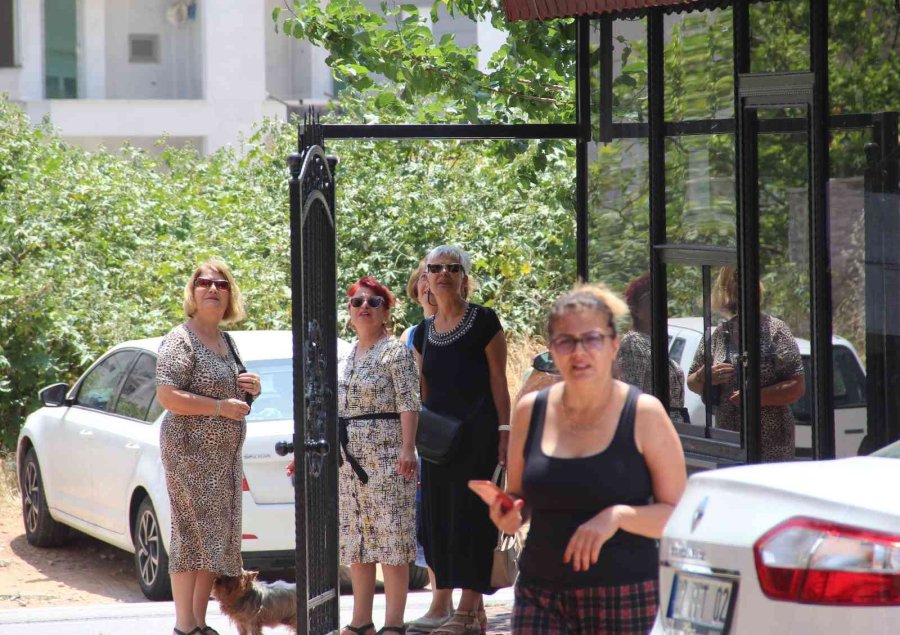 Ağaçta Mahsur Kalan Kedisine Kavuşunca Büyük Mutluluk Yaşadı