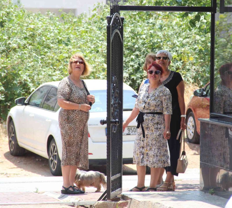 Ağaçta Mahsur Kalan Kedisine Kavuşunca Büyük Mutluluk Yaşadı