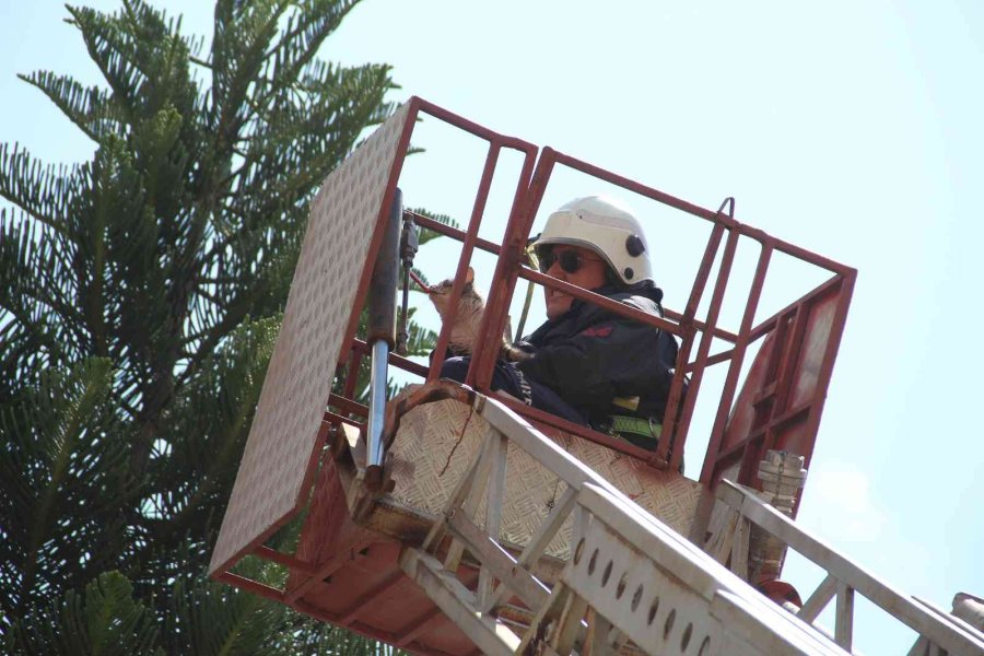 Ağaçta Mahsur Kalan Kedisine Kavuşunca Büyük Mutluluk Yaşadı