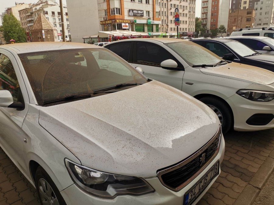 Sabah Uyananlar Gördükleri Manzara Karşısında Şok Oldu