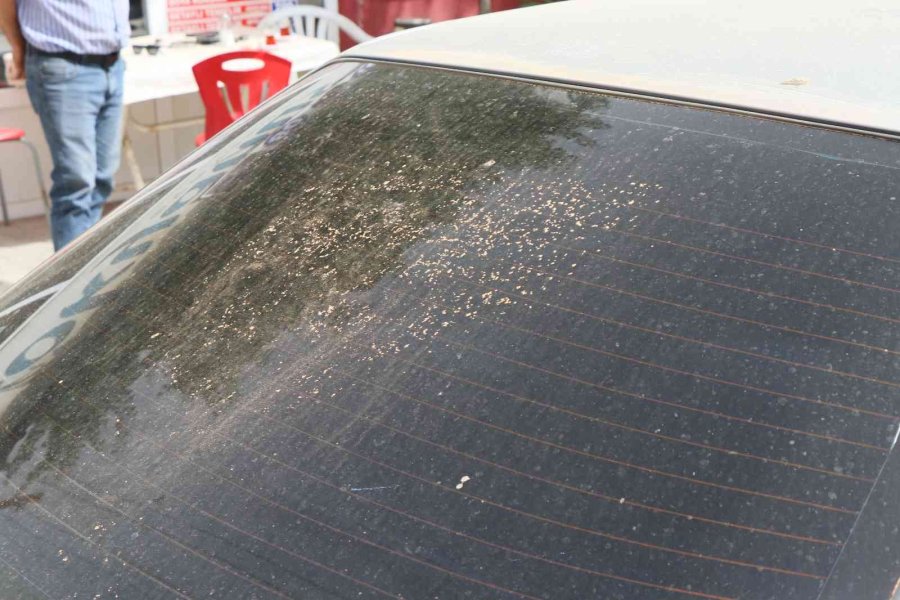 Suriye Kaynaklı Toz Bulutu Türkiye’de