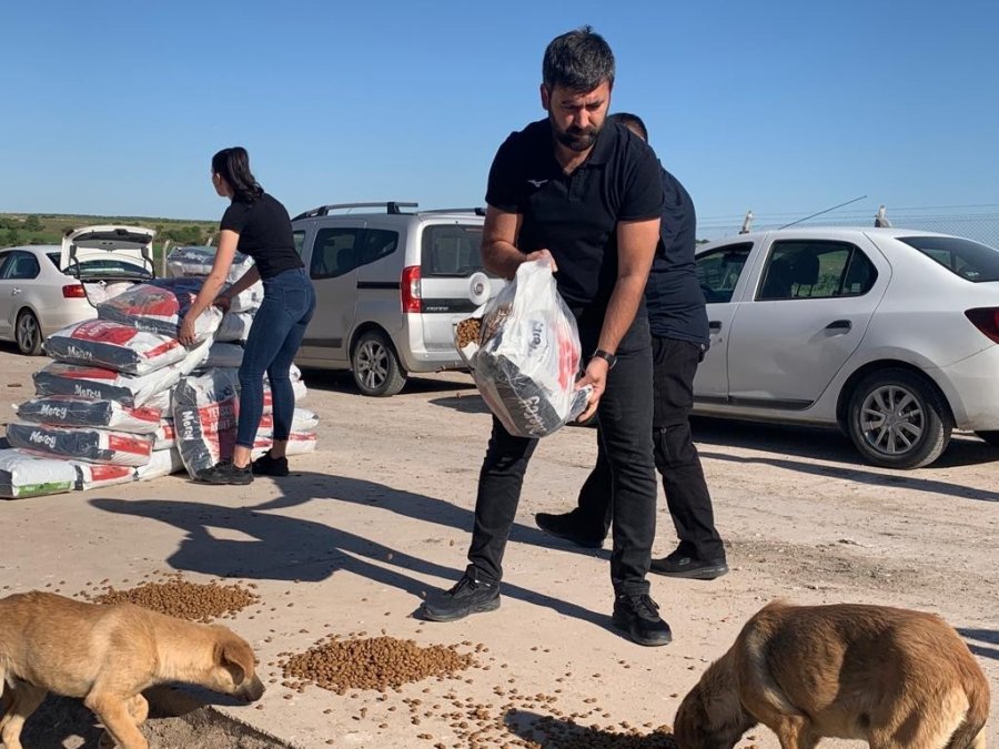 Sokak Hayvanlarına İşitme Engelliler Umut Oldu