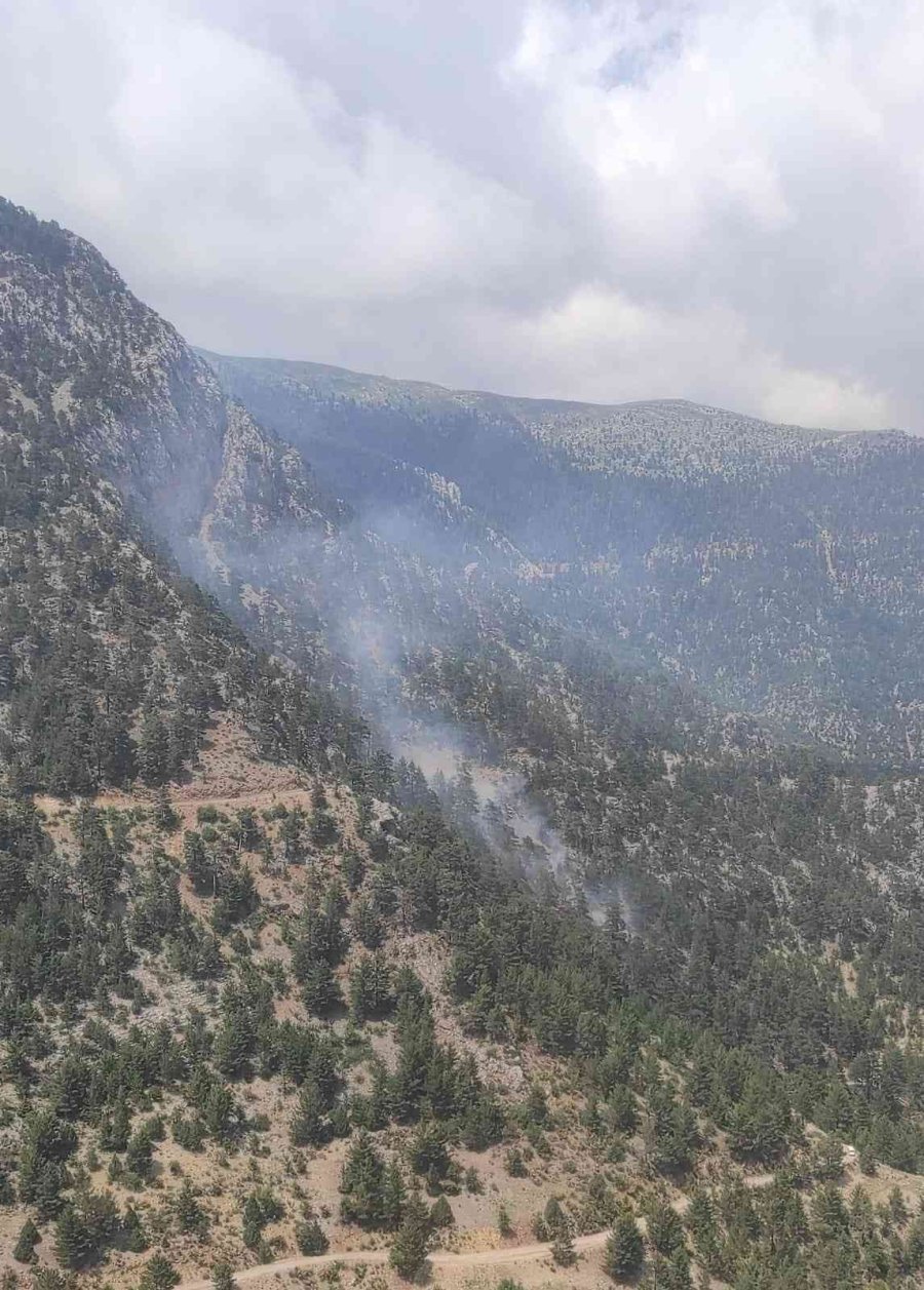 Akıl Sağlığı Yerinde Olmayan Kişinin Çıkardığı Yangında 1 Hektar Alan Yandı