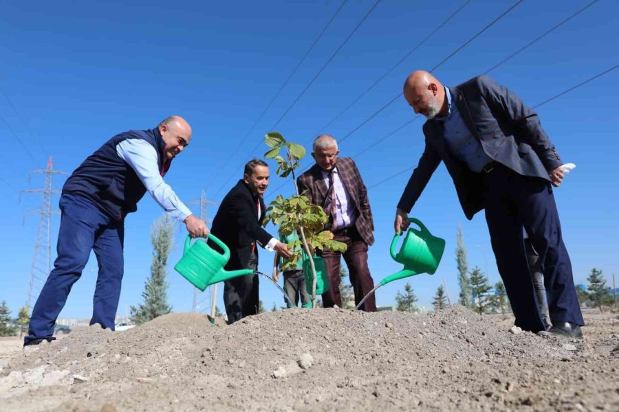 Başkan Çolakbayrakdar: "daha Güzel Çevre İçin Çalışıyoruz"