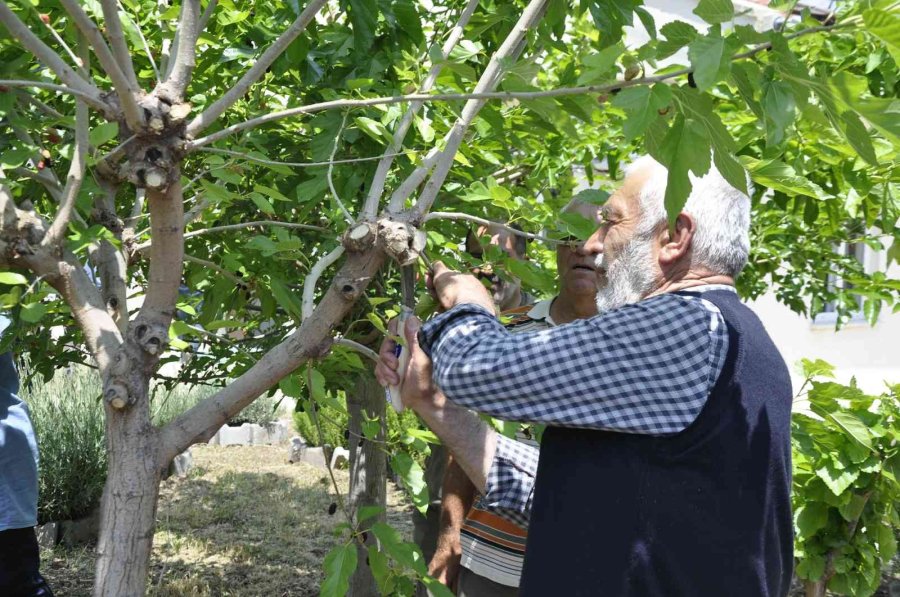 Eskişehir’de İpekböcekçiliği Yaygınlaşıyor