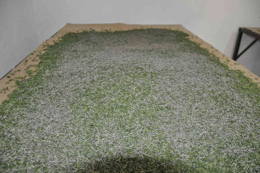 Eskişehir’de İpekböcekçiliği Yaygınlaşıyor