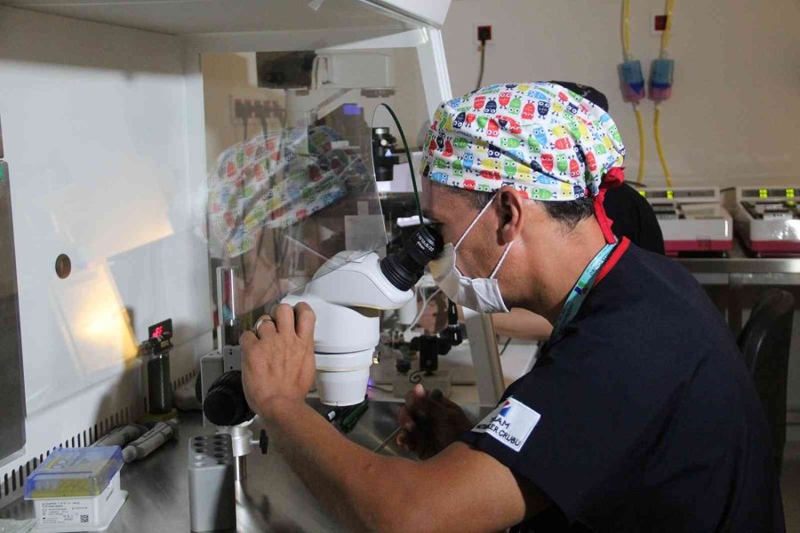 Bilimsel Direktör Gürgan: "hem Tatil Yapın Hem Bebek Sahibi Olun"