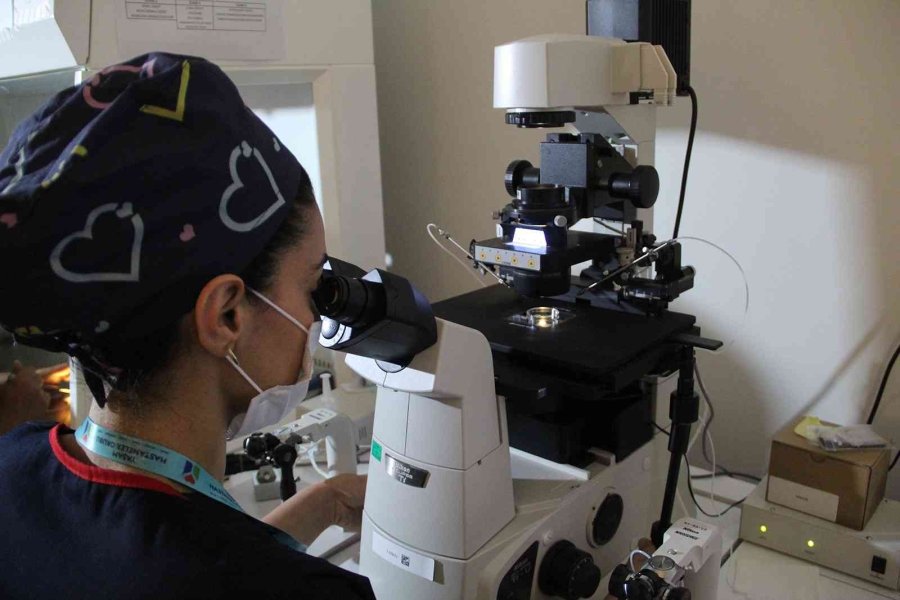 Bilimsel Direktör Gürgan: "hem Tatil Yapın Hem Bebek Sahibi Olun"