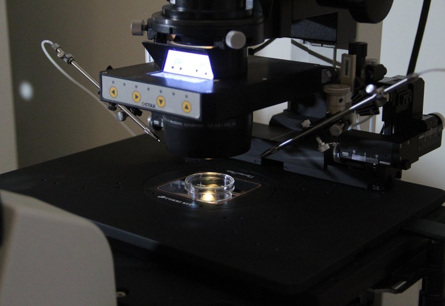 Bilimsel Direktör Gürgan: "hem Tatil Yapın Hem Bebek Sahibi Olun"