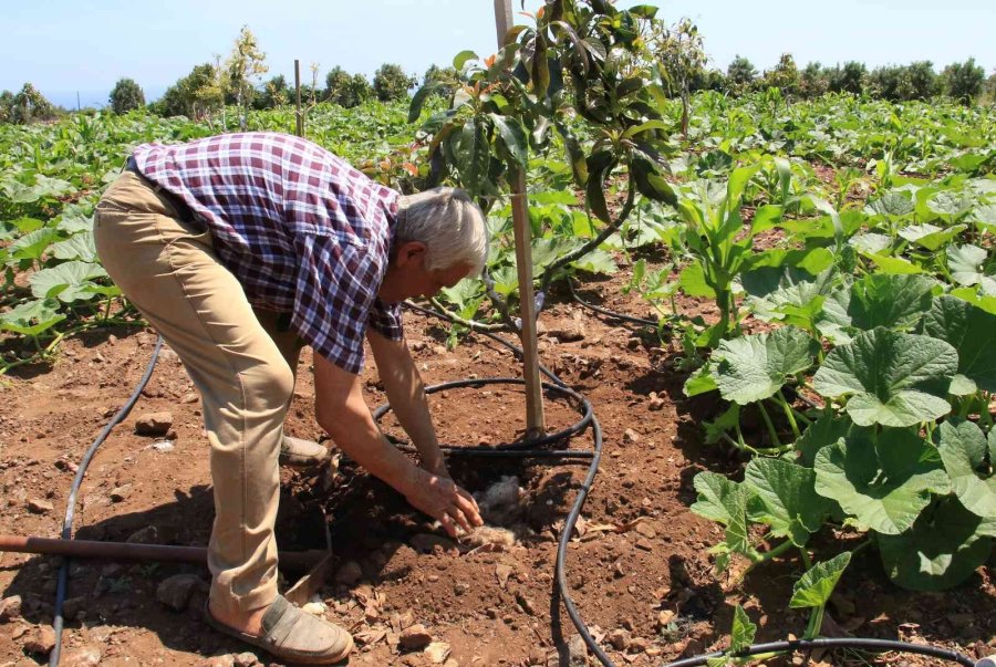 Enerjisi Rüzgar Ve Güneşten, İyi Tarıma Örnek Bahçe, Her Şey Doğal