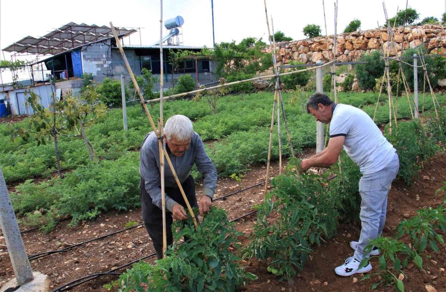 Enerjisi Rüzgar Ve Güneşten, İyi Tarıma Örnek Bahçe, Her Şey Doğal