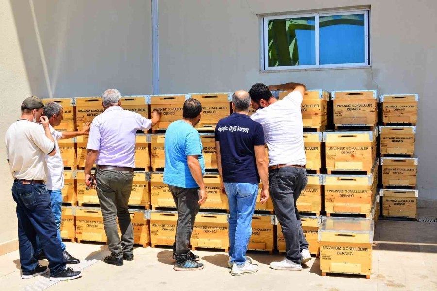 Yangınzede Üreticilere Arı Kovanı Desteği