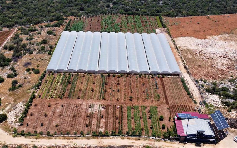 Enerjisi Rüzgar Ve Güneşten, İyi Tarıma Örnek Bahçe, Her Şey Doğal