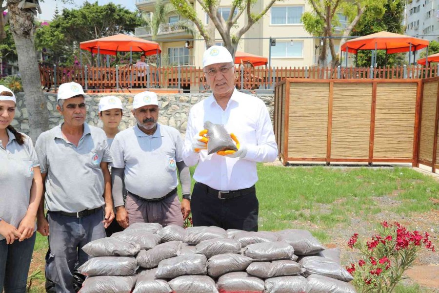Mezitli Belediyesinden Sahil Temizliği Ve Kompost Dağıtımı