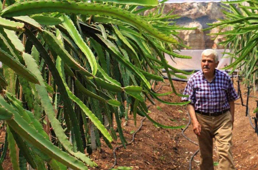Enerjisi Rüzgar Ve Güneşten, İyi Tarıma Örnek Bahçe, Her Şey Doğal