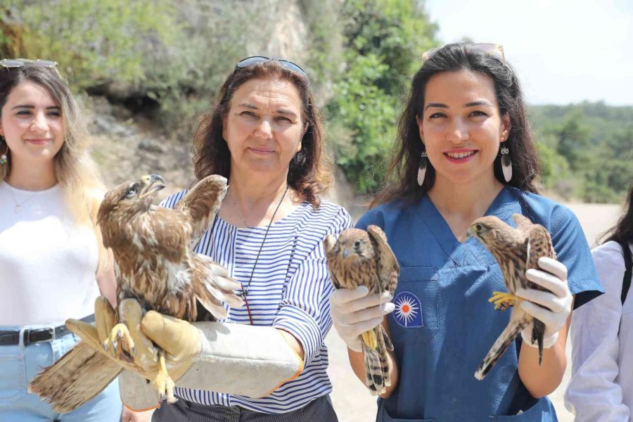 Tedavi Edilen Yırtıcı Kuşlar Doğaya Bırakıldı