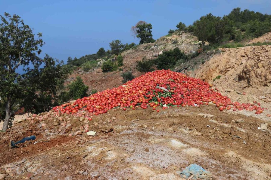 Antalya’da Çöpe Dökülen Sebze Açıklaması: "insan Sağlığını Tehdit Eden Ürünler"
