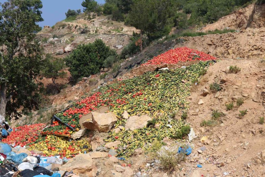 Antalya’da Çöpe Dökülen Sebze Açıklaması: "insan Sağlığını Tehdit Eden Ürünler"