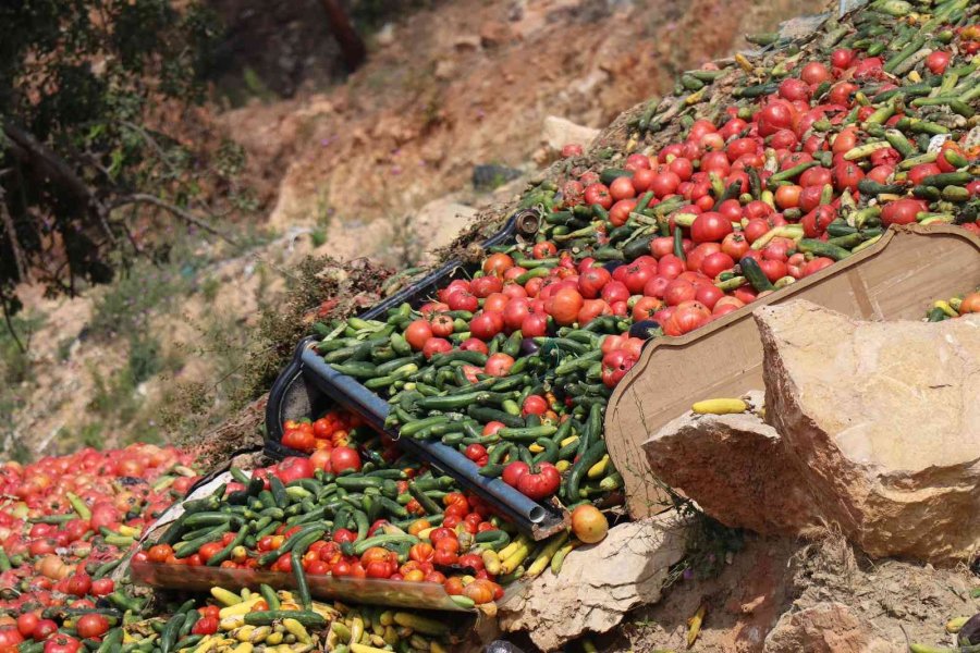 Antalya’da Çöpe Dökülen Sebze Açıklaması: "insan Sağlığını Tehdit Eden Ürünler"