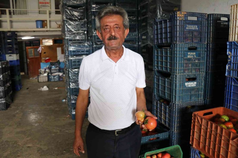 Antalya’da Çöpe Dökülen Sebze Açıklaması: "insan Sağlığını Tehdit Eden Ürünler"